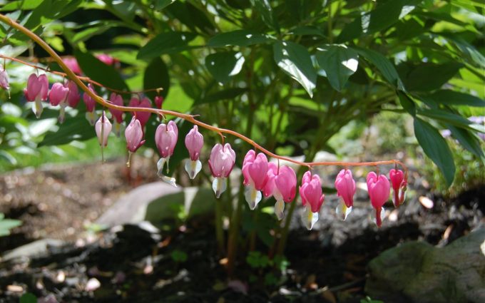 Spring has Sprung!!! 4